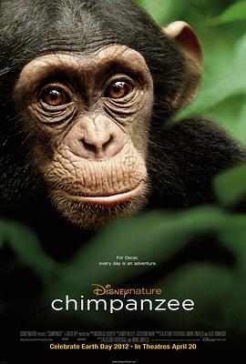 关于猩猩的电影